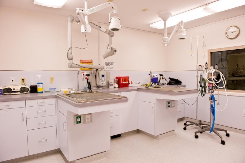 Cats Limited Veterinary Hospital West Hartford CT 06110 8605619885